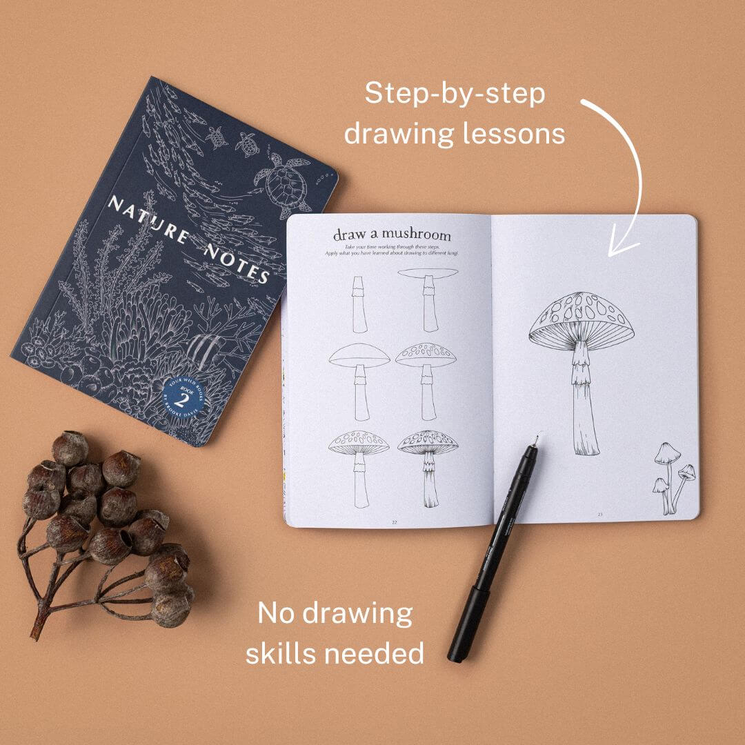 Nature Notes Bundle