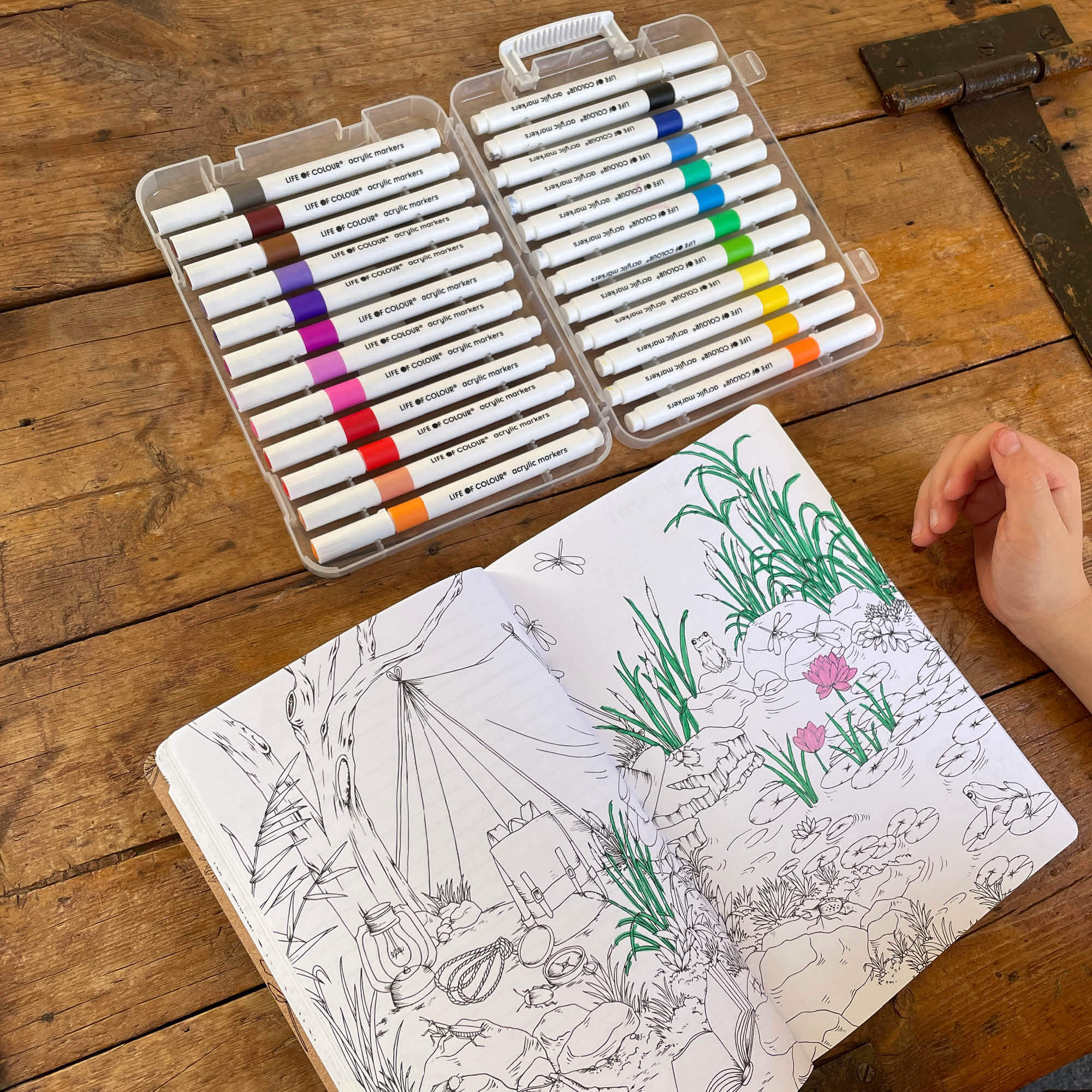 Acrylic Markers set of 24 for kids to use on nature Your Wild Books