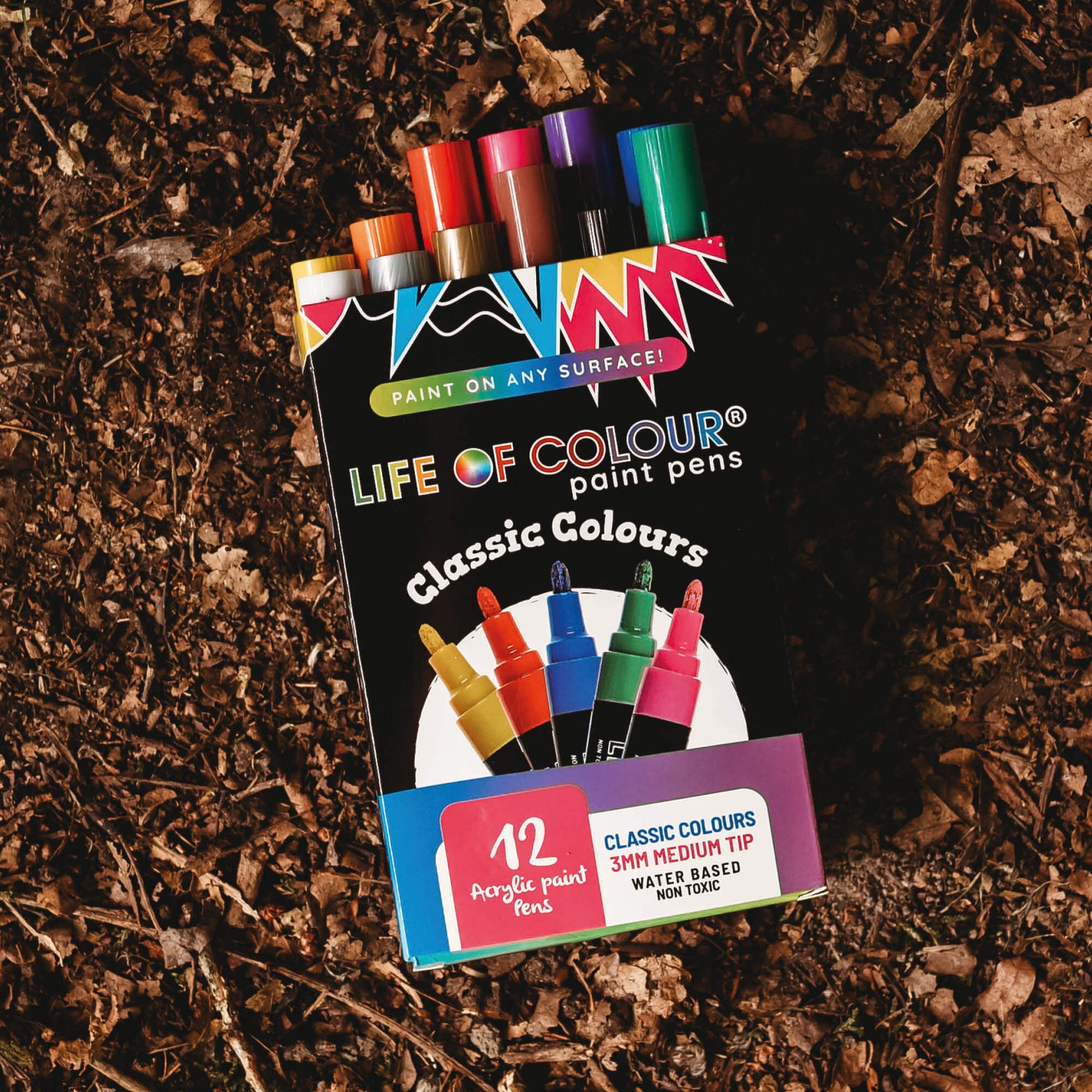12 Life of Colour Acrylic Paint Pens - Classic colours