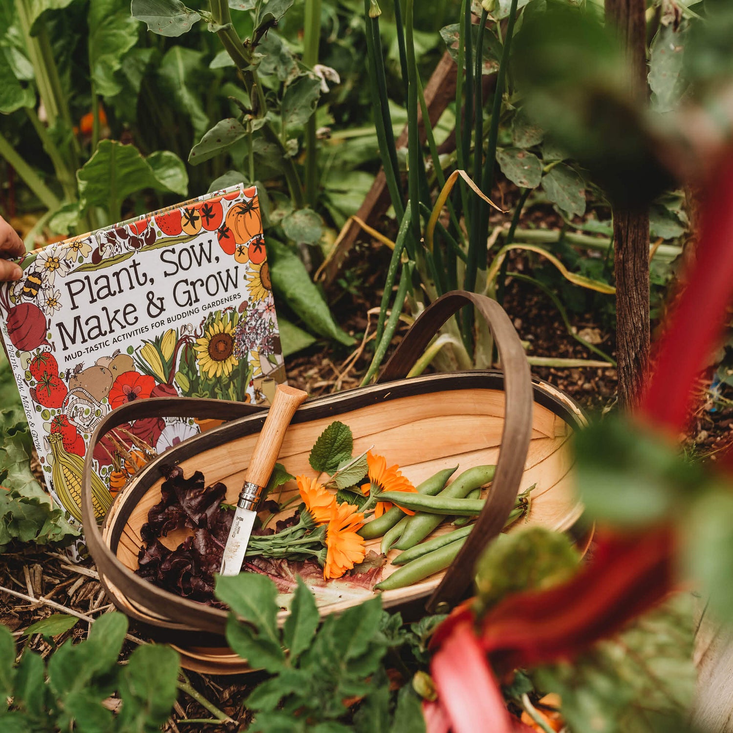 Garden basket with vegetables and flowers with Plant, Sow, Make and Grow kids gardening book by Esther Coombs from Your Wild Books.