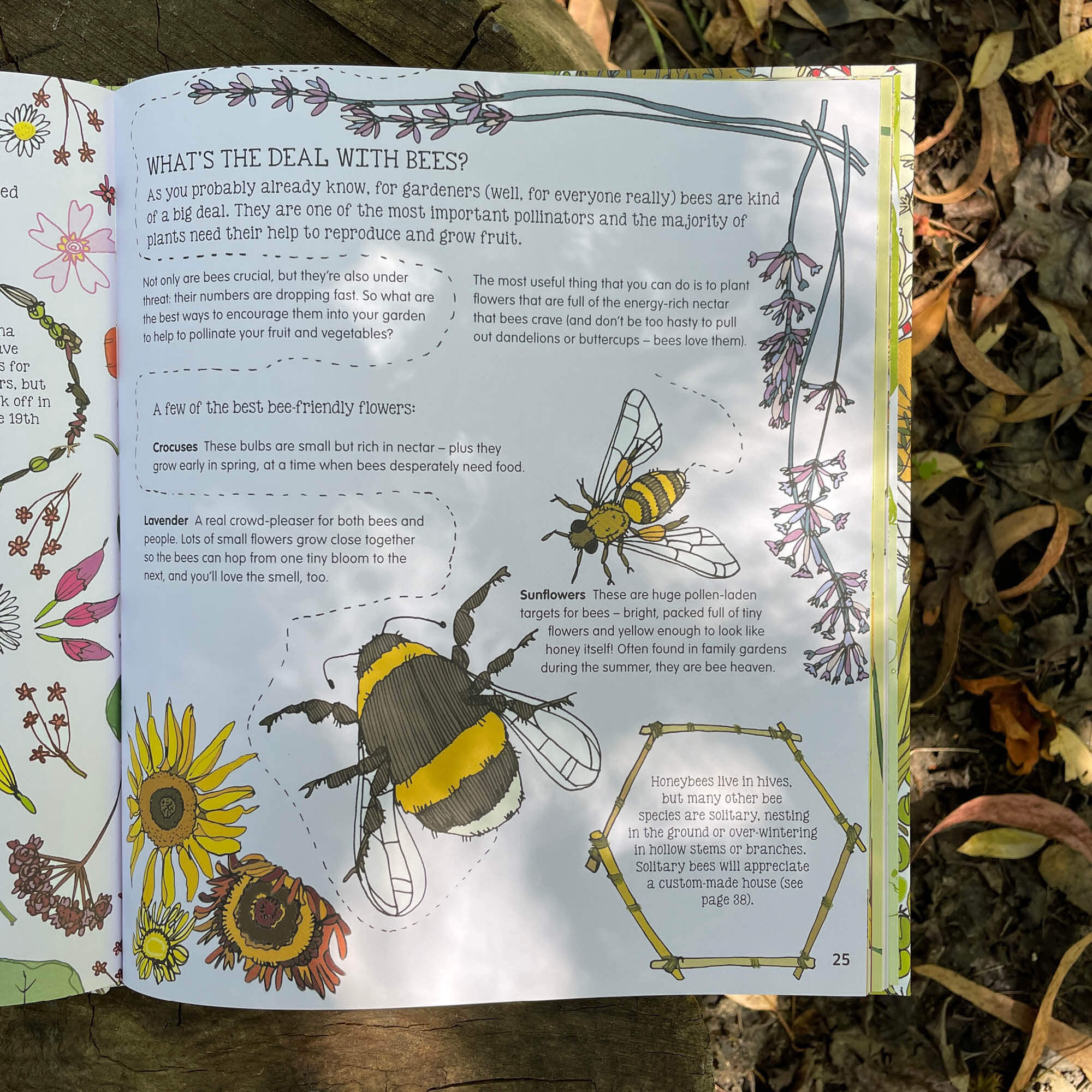 Pages about bees inside Plant, Sow, Make and Grow kids gardening book by Esther Coombs from Your Wild Books.