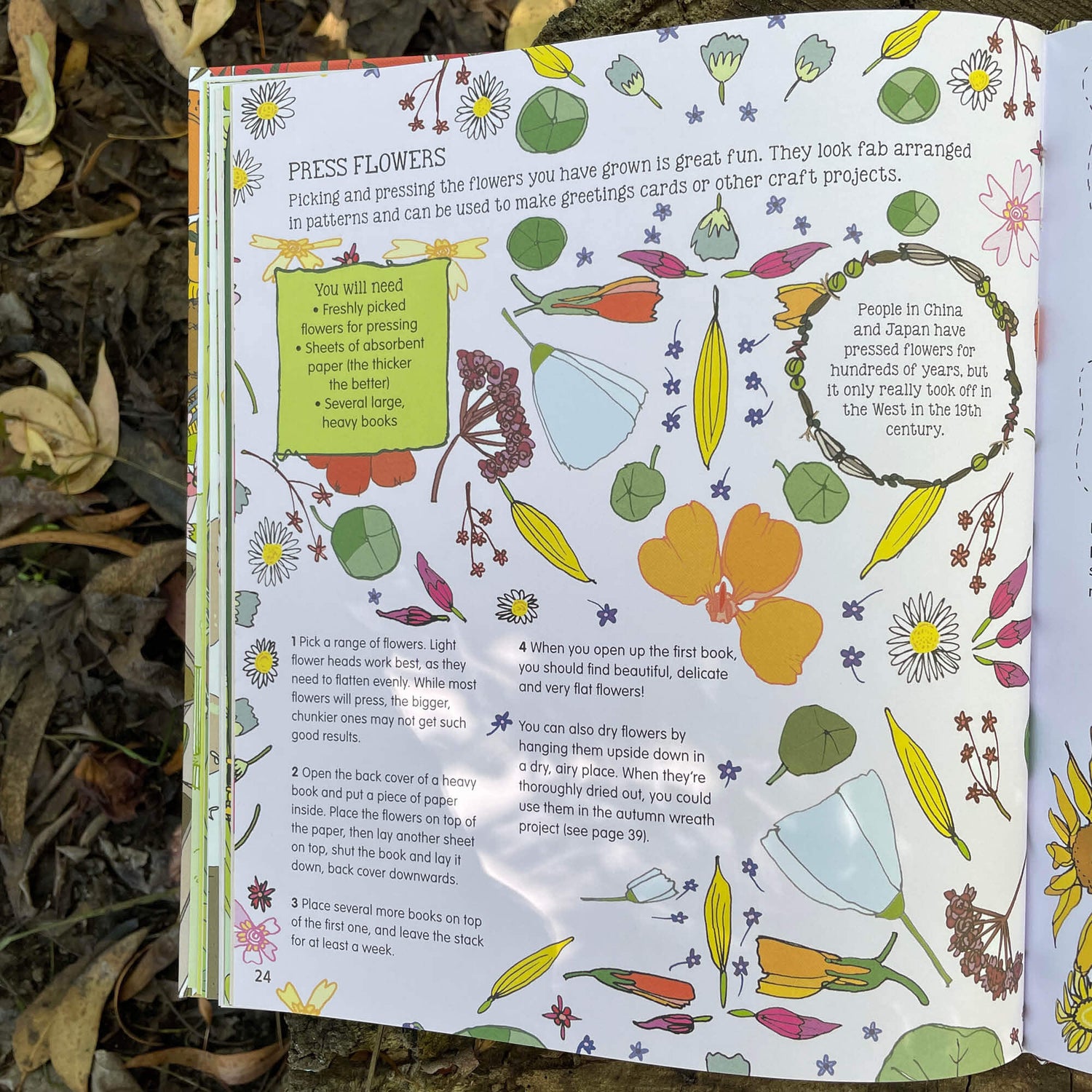 Pages about pressing flowers from Plant, Sow, Make and Grow kids gardening book by Esther Coombs from Your Wild Books.
