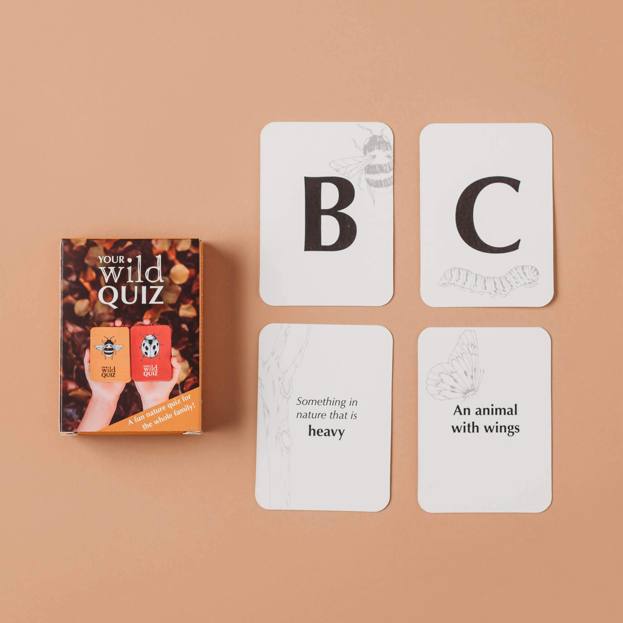 Nature inspired card game, Your Wild Quiz. Made in Australia by Your Wild Books.