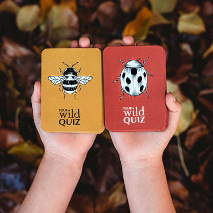 Child holding nature inspired card game, Your Wild Quiz. Made in Australia by Your Wild Books.