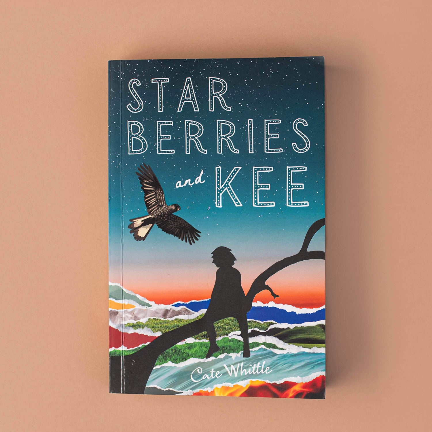Starberries and Kee Book