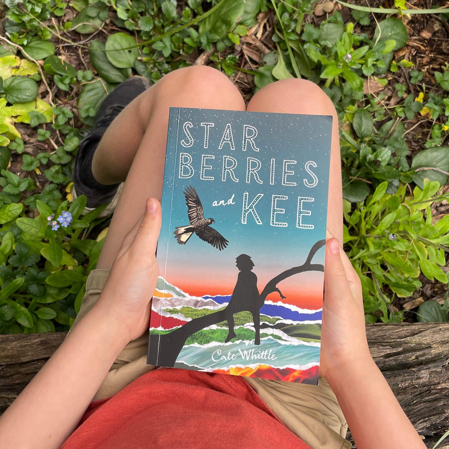 Starberries and Kee Book