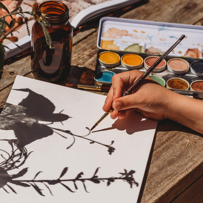 Shadow art nature craft activity painted with all natural, chemical free, plastic free, watercolour paint from Okonorm brand from Your Wild Books