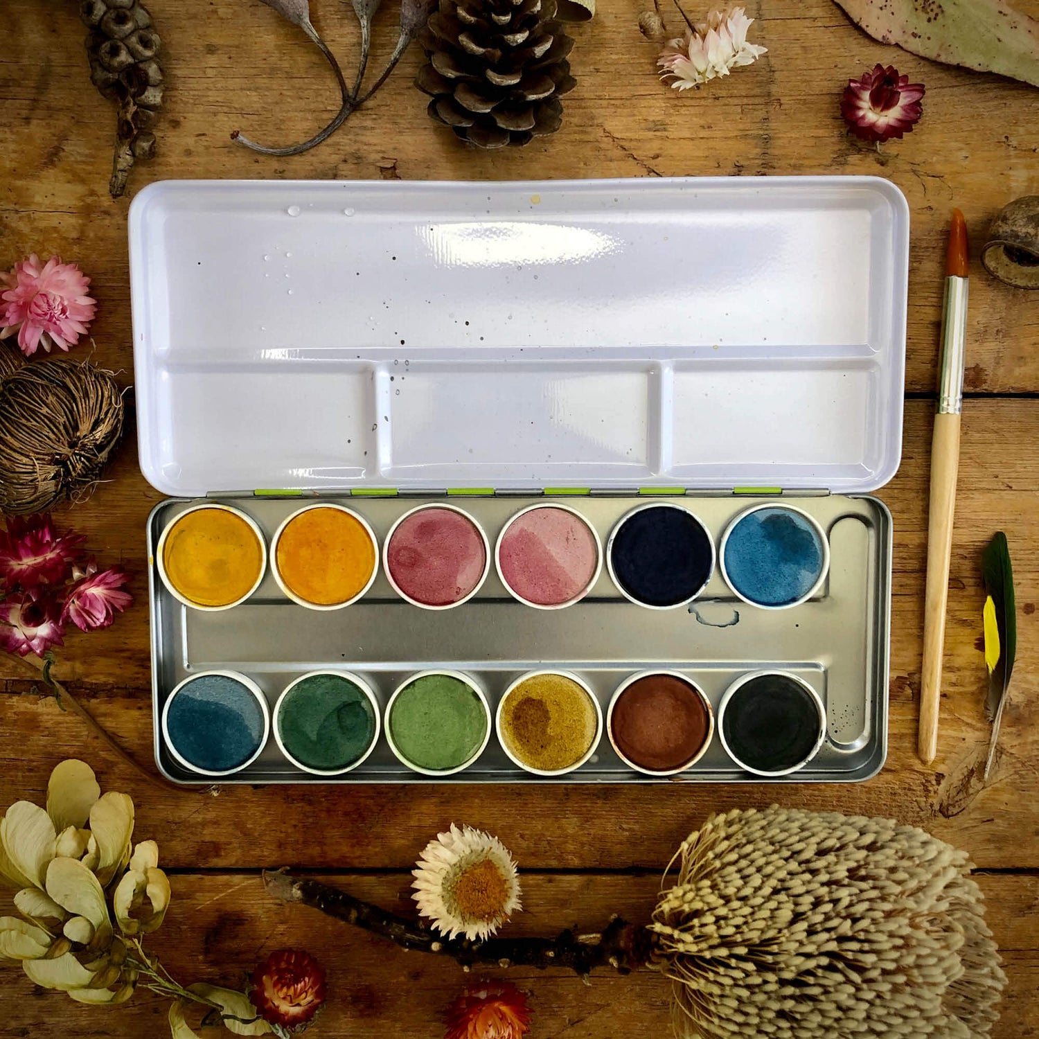 Metal tin, all natural, chemical free, plastic free, watercolour paint from Okonorm brand from Your Wild Books