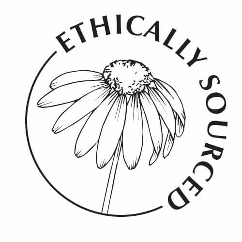  Your Wild Books Image 