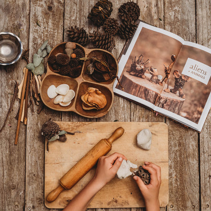 Nature Craft Series Wholesale Bundle