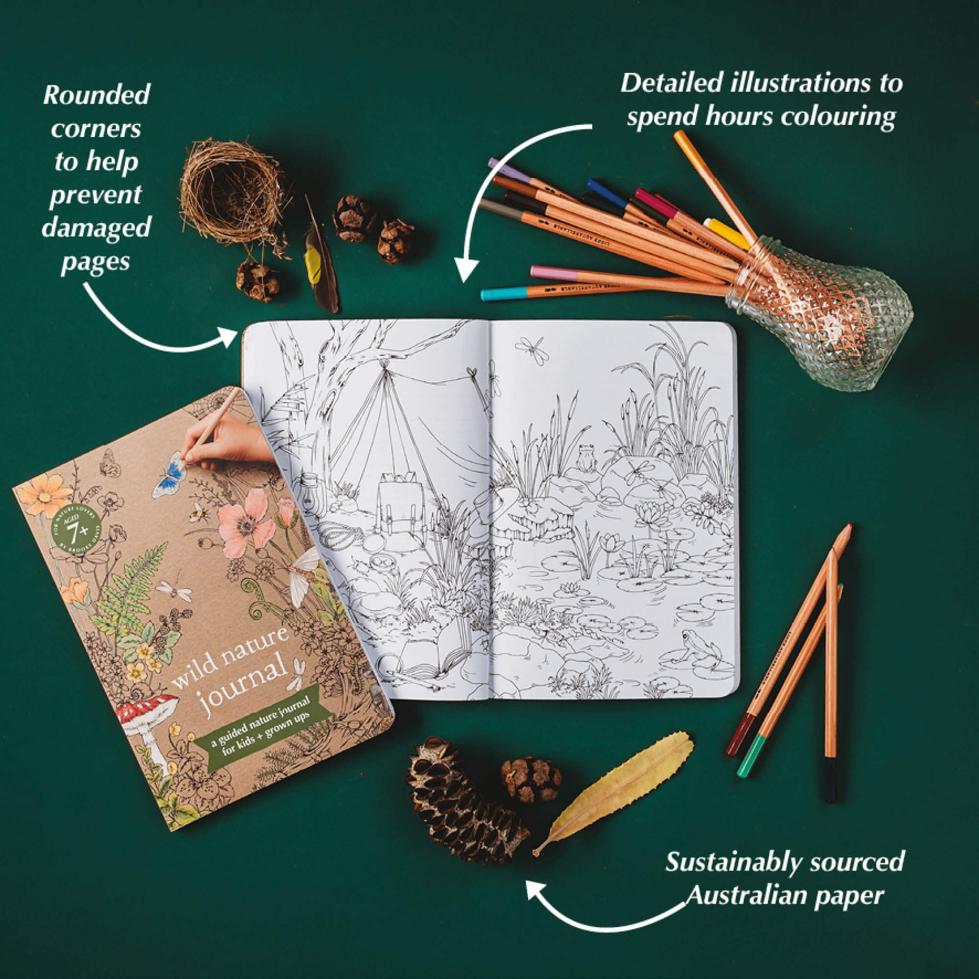 Colouring in pages from Wild Nature Journal, a guided nature journal for kids and grown ups is made in Australia by Your Wild Books.