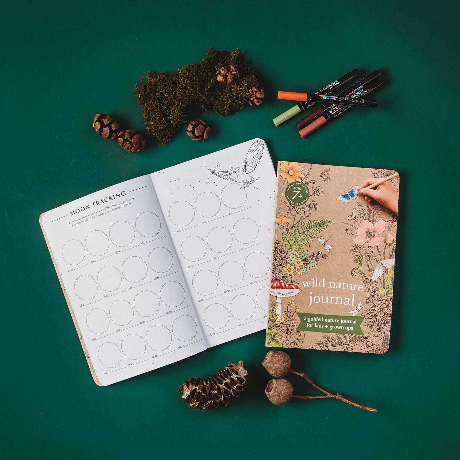Free Download! Your Quick Start Guide to Nature Journaling — Wild Wonder  Foundation