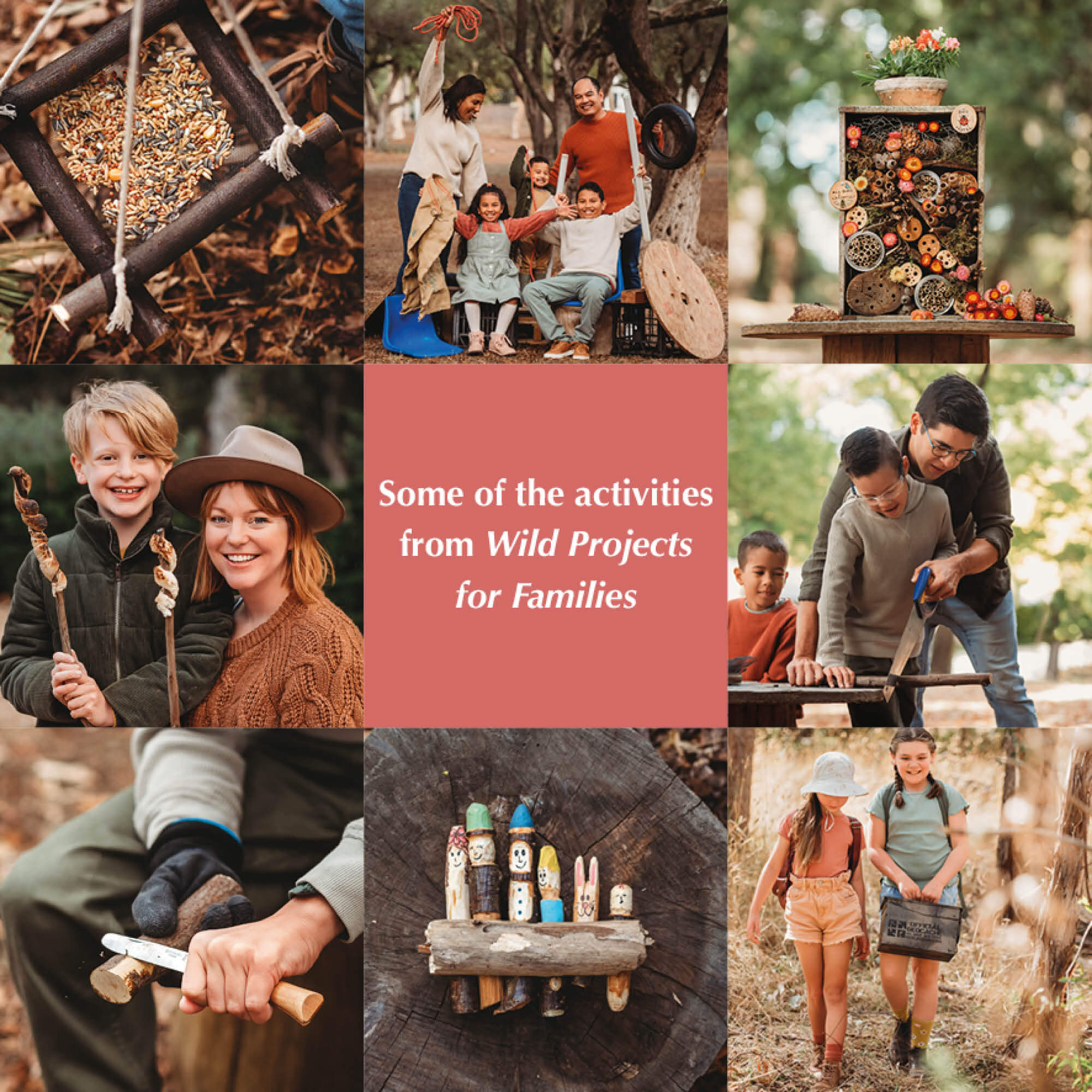 Selection of activities from the book Wild Projects for Families, includes bird feeder, floor is lava, bug hotel, damper sticks, ring toss, stick family and geocaching.