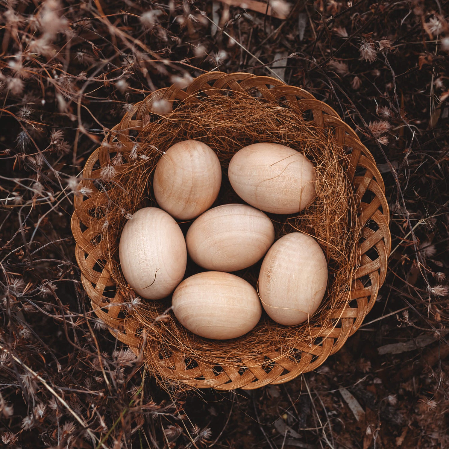 Wood and natural - 6 Wooden Eggs