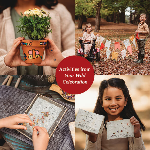 Some of the activities from Your Wild Celebration book, nature craft for Christmas, Easter, birthdays and more. Made in Australia by Your Wild Books.