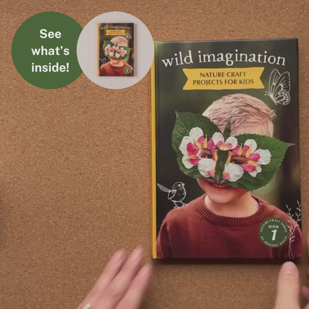 Nature Craft Series | 100's of nature inspired crafts and play