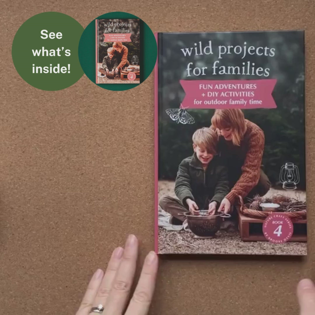 Wild Projects for Families Book